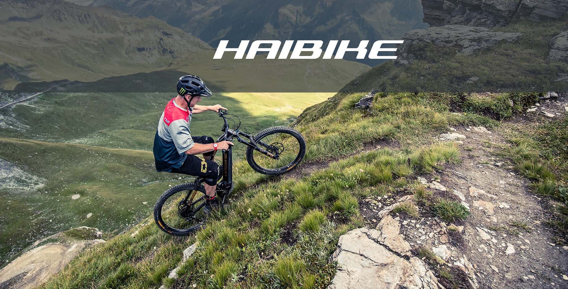 Markeneinstieg_Haibike_Logo