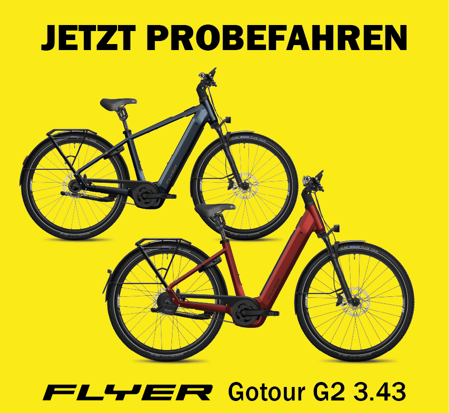 Flyer-Website